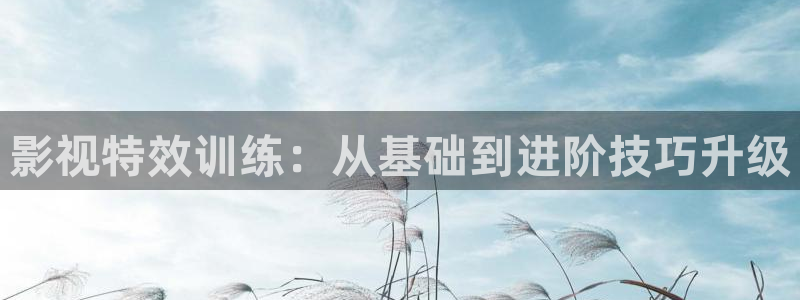 九七影院962：影视特效训练：从基础到进阶技巧升级