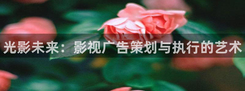 九七电影手机版：光影未来：影视广告策划与执行的艺术