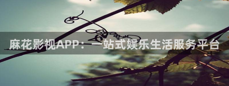电影九七网：麻花影视APP：一站式娱乐生活服务平台