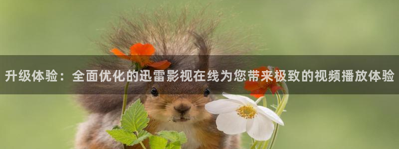 九七影院秋霞网：升级体验：全面优化的迅雷影视在线为您带来极致的视频播放体验