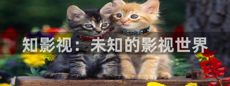 九七碰碰视频97视频：知影视：未知的影视世界