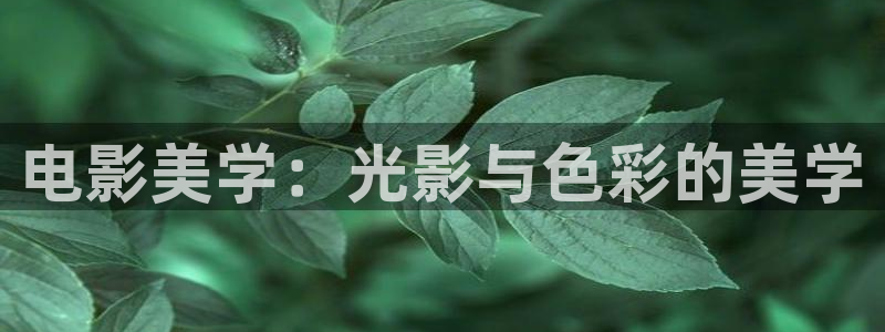 九七影院支持微信观看：电影美学：光影与色彩的美学