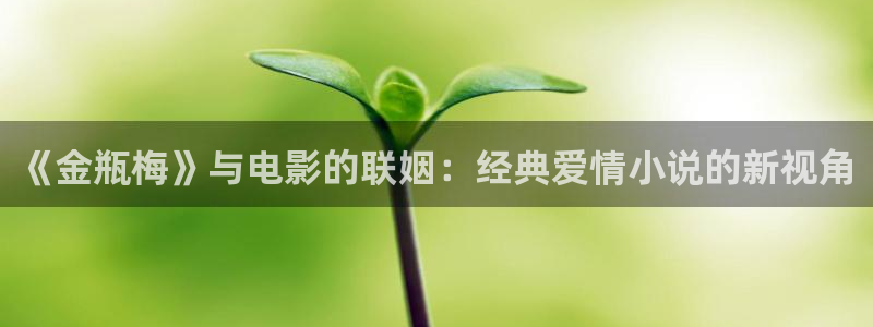 第九七影院：《金瓶梅》与电影的联姻：经典爱情小说的新视角